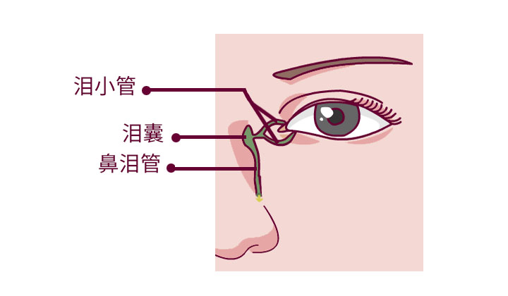 圖片關(guān)鍵詞 圖片關(guān)鍵詞